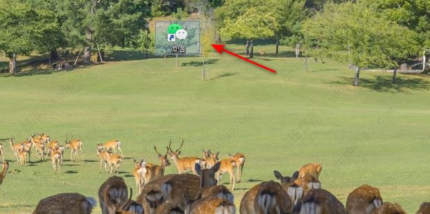 電腦微信截圖快捷鍵不能用了怎么辦？(3種方法)