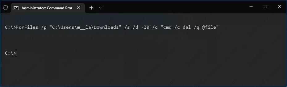 如何在Windows 10上自動刪除超過 X 天的文件？3種方式教給你！